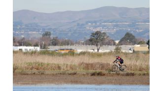 Letters discuss various topics, including parks in the East Bay, gas prices, Democratic votes, Kamala Harris' experience, and the role of racism.