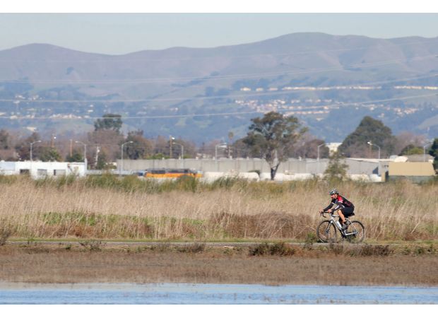 Letters discuss various topics, including parks in the East Bay, gas prices, Democratic votes, Kamala Harris' experience, and the role of racism.