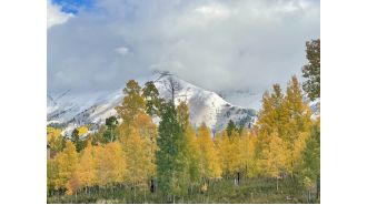 Snow in Colorado on Oct. 19, 2024 measured amounts.