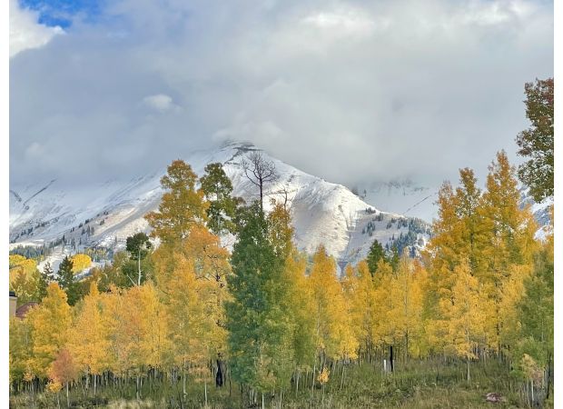 Snow in Colorado on Oct. 19, 2024 measured amounts.