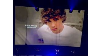 Rock & Roll Hall of Fame honors Liam Payne four days after his passing.