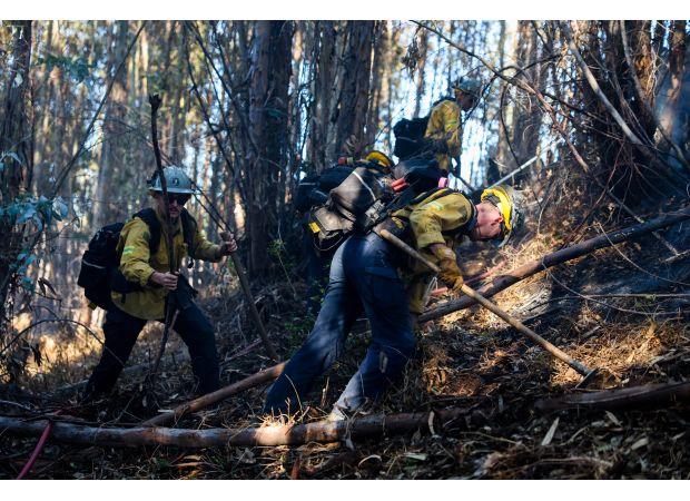 Progress made in controlling Oakland Hills fire; residents will be able to return home soon.