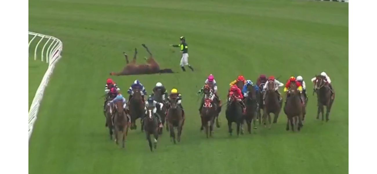 Jockey quickly consoles upset horse on racetrack after sustaining severe injury.