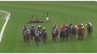 Jockey quickly consoles upset horse on racetrack after sustaining severe injury.