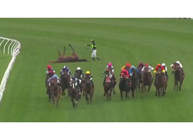 Jockey quickly consoles upset horse on racetrack after sustaining severe injury.