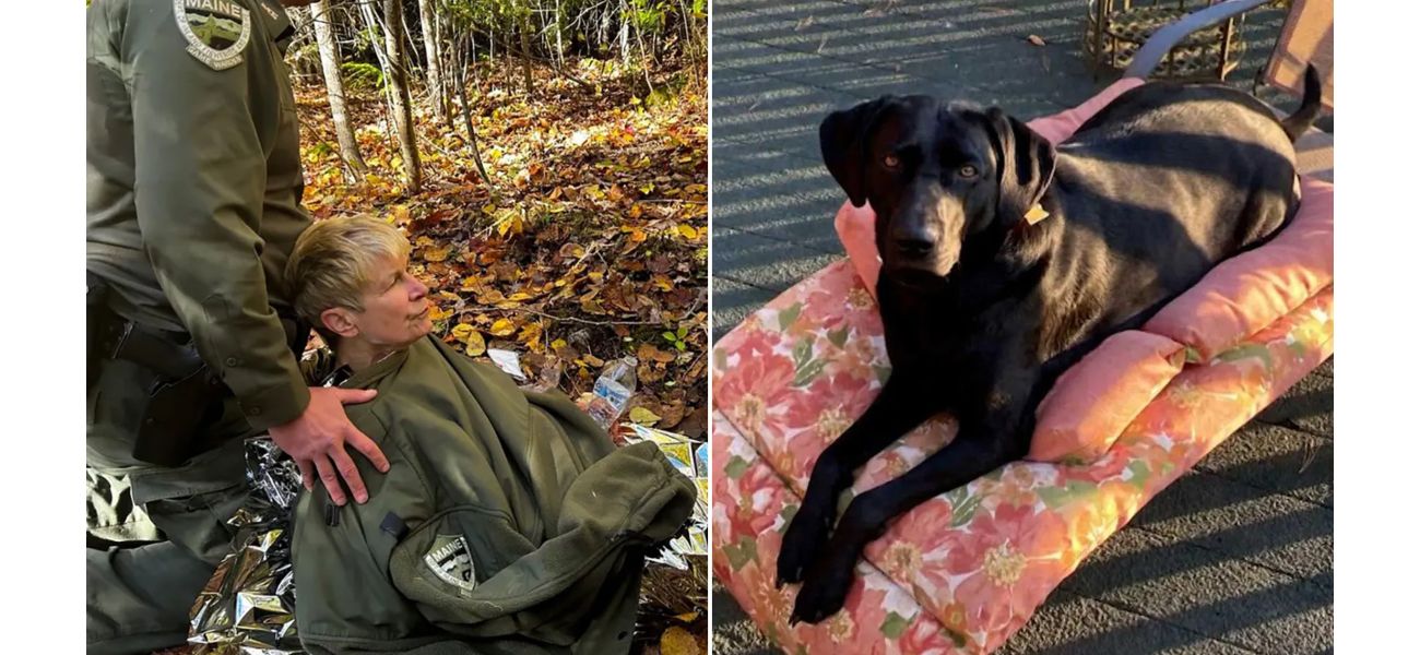 Hiker survives four nights in wilderness because dog kept her warm by sleeping on her.