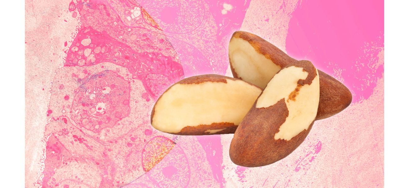 Nut mineral may save breast cancer patients in Brazil