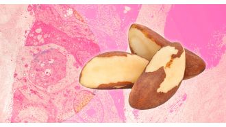 Nut mineral may save breast cancer patients in Brazil