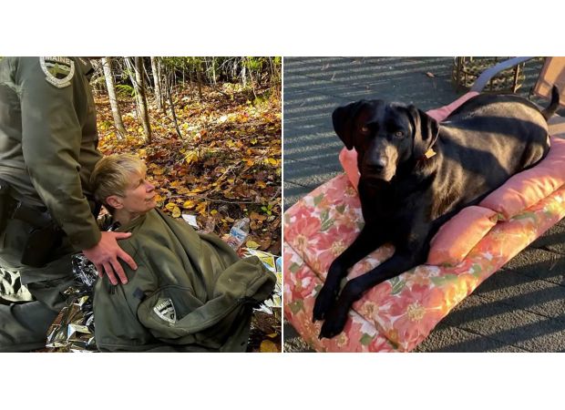 Hiker survives four nights in wilderness because dog kept her warm by sleeping on her.