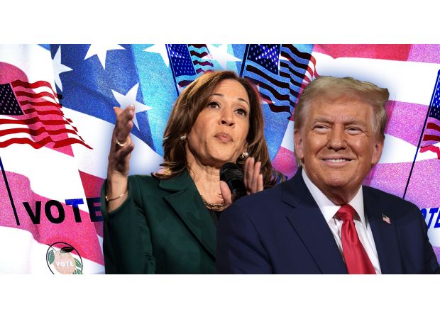 What is the purpose and process of the electoral college?