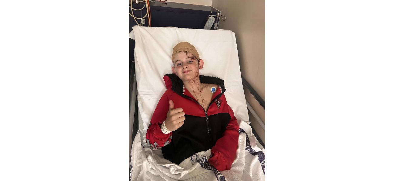 A boy underwent surgery after being brutally attacked by a kangaroo.
