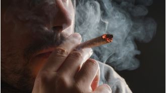 Marijuana users experiencing bouts of screaming and vomiting, dubbed as 'scromiting', are overwhelming hospitals.