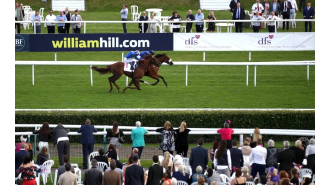 Horse trainer banned 6 years for horses with infected wounds.