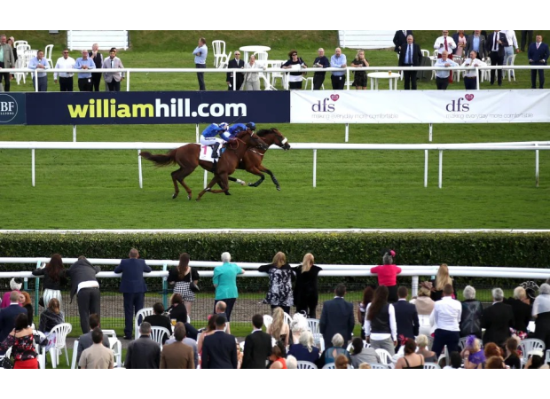 Horse trainer banned 6 years for horses with infected wounds.