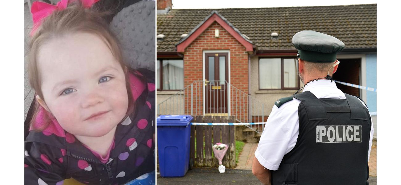 A murderer of a 2-year-old girl is described as cowardly and covers his ears during a court hearing about the brutal attack.