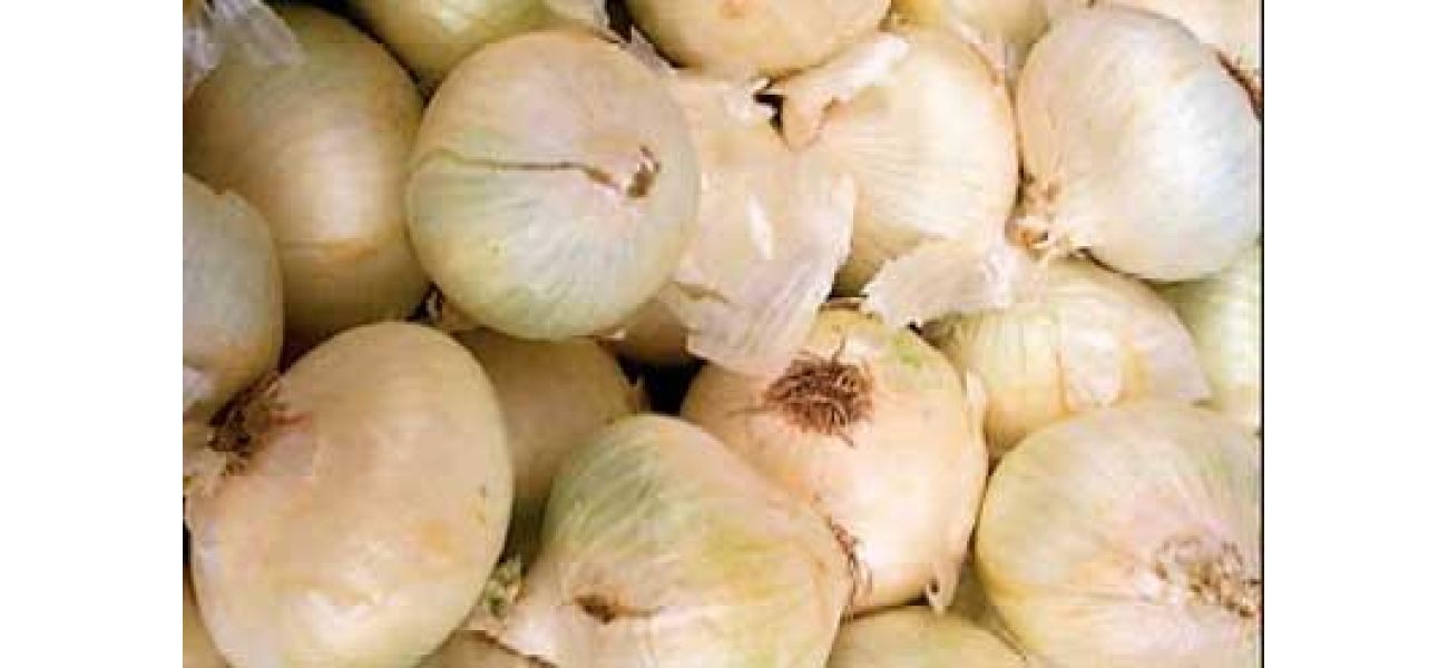 Farm in Colorado recalls onions possibly related to recent E. coli outbreak at McDonald's.