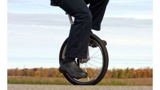 A person who is on the sex offender registry attempted to hit a man's dog with a unicycle.