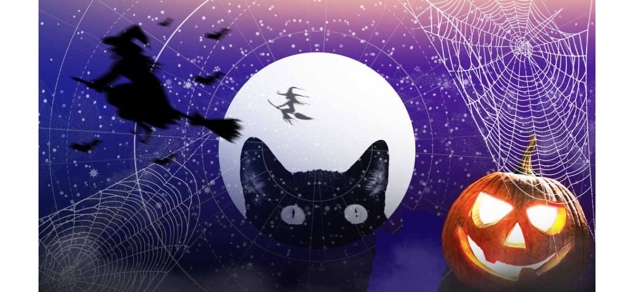 Find out the spooky warning your zodiac sign should heed this Halloween with a tarot reading.