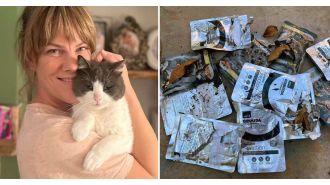 Feline thief gains fame after going on stealing spree.