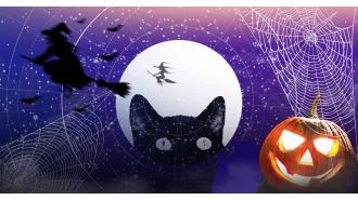 Find out the spooky warning your zodiac sign should heed this Halloween with a tarot reading.
