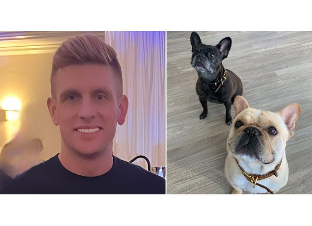 A dog died on a flight after being moved from first class to coach.