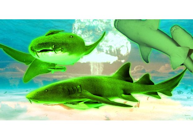 An island with mutated sharks, once used for nuclear testing, is now a radioactive area.