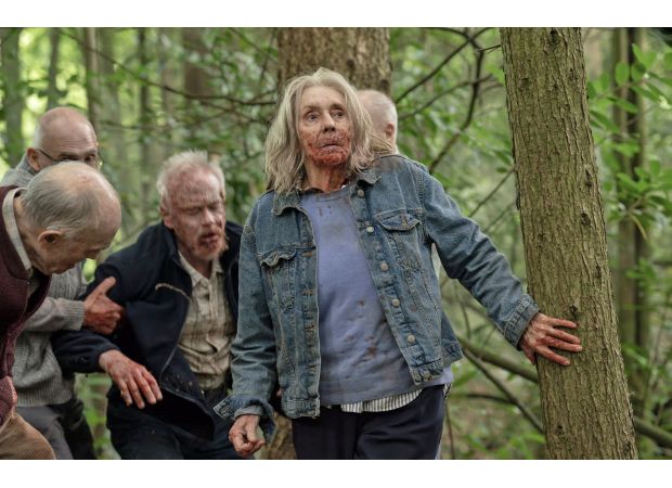 Channel 4 horror will change your view of cockapoos forever.