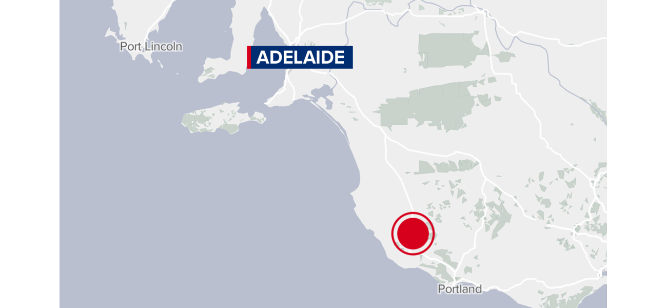A 5-year-old boy died in a terrible three-car accident in SA caused by an emu.