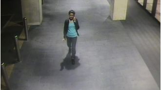 Police are offering a $1 million reward to solve the unsolved case of a woman who was murdered while on a phone call in 2015.