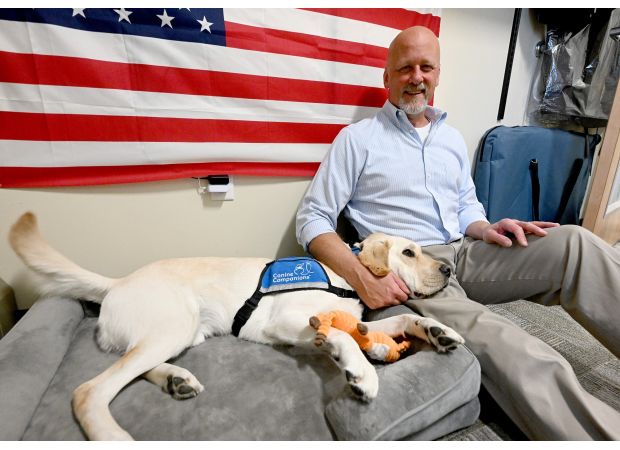 Boulder County has hired two new dogs for the sheriff and district attorney offices, making them the most well-liked employees.