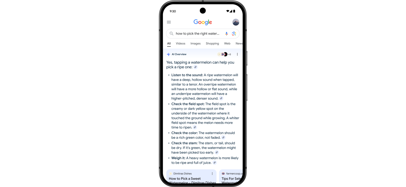 Australia to receive AI search results from Google.