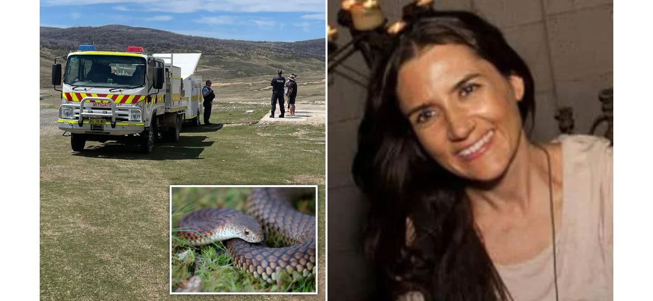 A woman who went missing in the wilderness survived a snake bite and freezing temperatures.