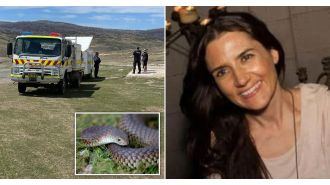 A woman who went missing in the wilderness survived a snake bite and freezing temperatures.