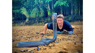 Popular YouTube personality known as 'South Africa's Steve Irwin' passes away following a cobra bite.
