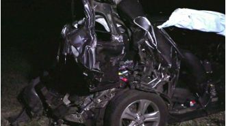 Person accused of causing fatal traffic accident with emu.