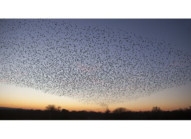 England's stunning natural beauty is a must-see and visitors rave about its incredible free attraction.