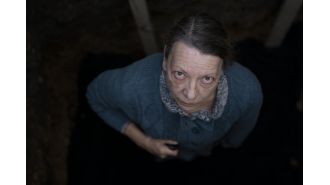 Fans consider the top-rated horror show on Rotten Tomatoes to be 