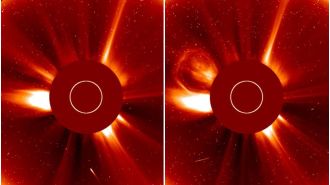 SOHO spacecraft captures last moments of Halloween comet.