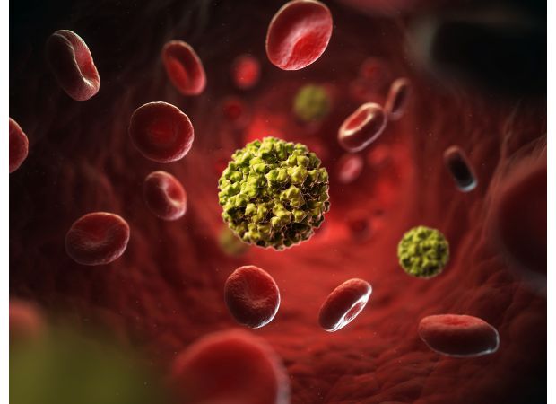 Tips to prevent the rapid spread of the winter bug in the UK.