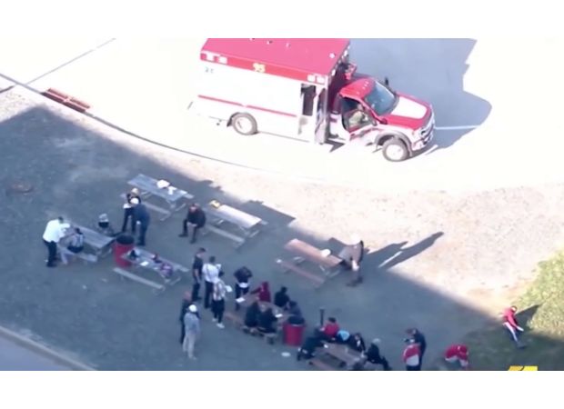 One person's unfortunate meal at work picnic causes illness for 46 individuals.