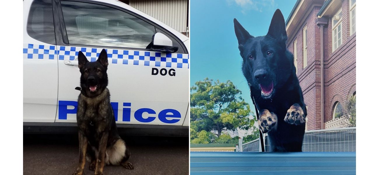 Two K9 officers pass away in vehicle when air conditioning malfunctions while they are unattended.