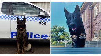Two K9 officers pass away in vehicle when air conditioning malfunctions while they are unattended.