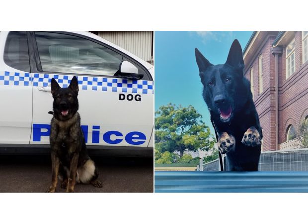 Two K9 officers pass away in vehicle when air conditioning malfunctions while they are unattended.