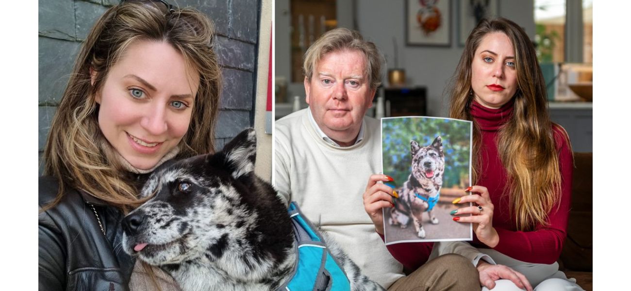 A couple who cloned their deceased puppy have been hit by a driver in an attempt to bring her back to life.