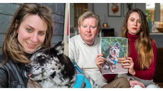 A couple who cloned their deceased puppy have been hit by a driver in an attempt to bring her back to life.