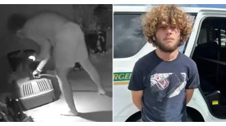 A teenager tortured and threw a cat off a balcony for having an accident.