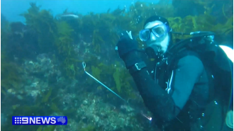 A large shark circles two divers in Western Australia.