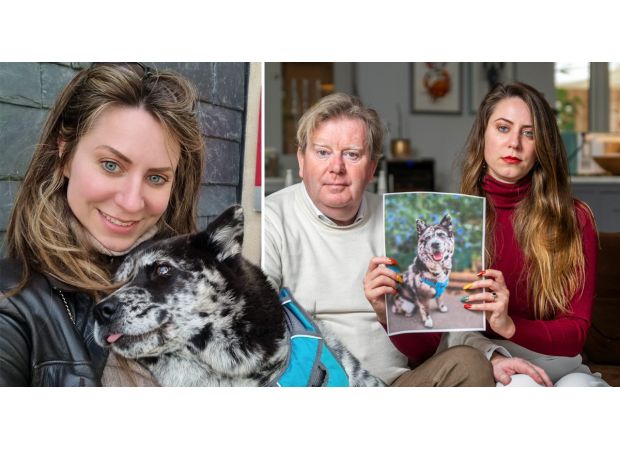 A couple who cloned their deceased puppy have been hit by a driver in an attempt to bring her back to life.