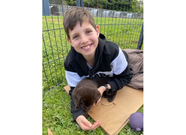 Driver's family shows deep remorse for school crash.