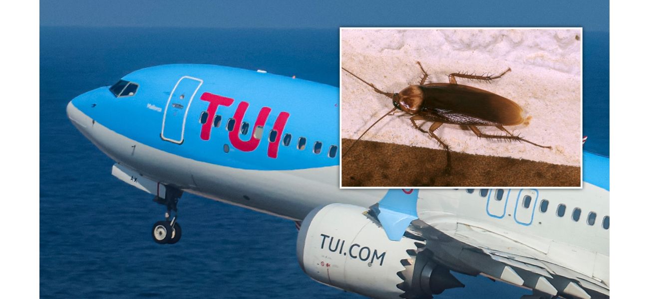 A TUI flight was delayed for eight hours due to the discovery of cockroaches, causing inconvenience for passengers.